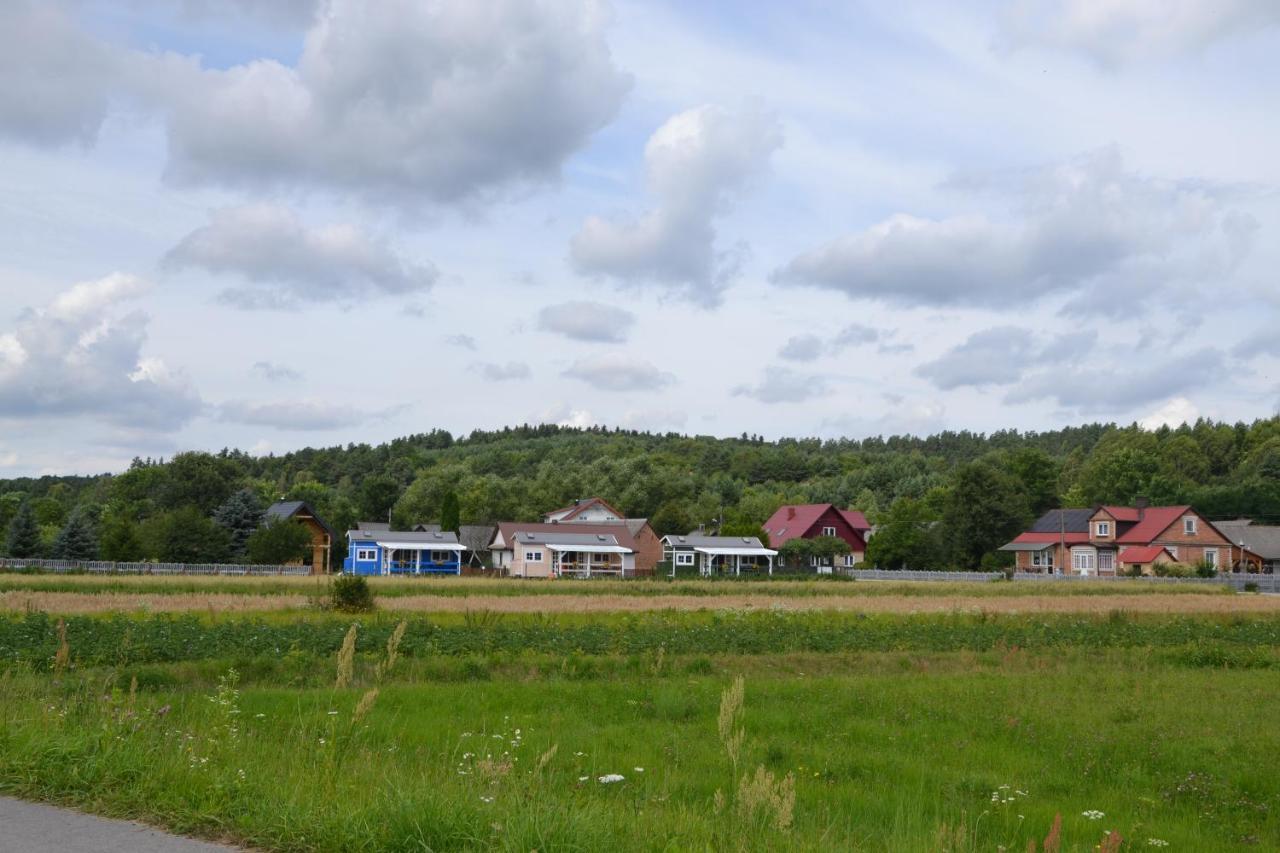 Sloneczne Domki Na Roztoczu Blizow Bagian luar foto